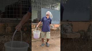 step 1 Toilet Train Cat Step 2 Regret Everything