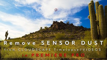 Remove [Sensor Dust] in Premiere Pro | Steps & Tips