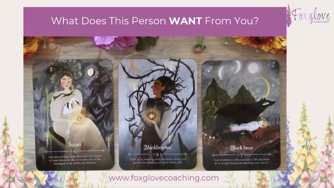 ✨️What Does This Person WANT From You?! 🤔 Pick-a-card Readings 📚 🔮