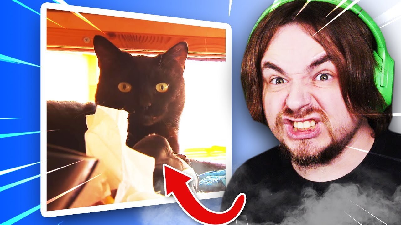 DE KWAADAARDIGE KAT - Frank Visser