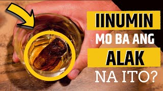 KAYA mo bang INUMIN ang ALAK na ito? | Sourtoe Cocktail | Tuklas Kaalaman PH