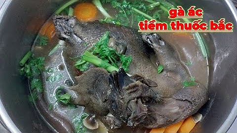 Cách làm GÀ ÁC KHỔNG LỒ tiềm thuốc Bắc siêu ngon siêu bổ | Sen hồng TV