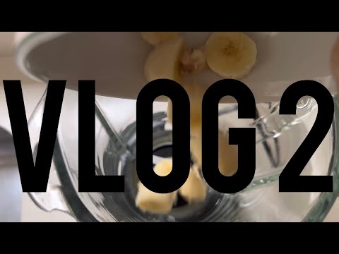 Vlog 2