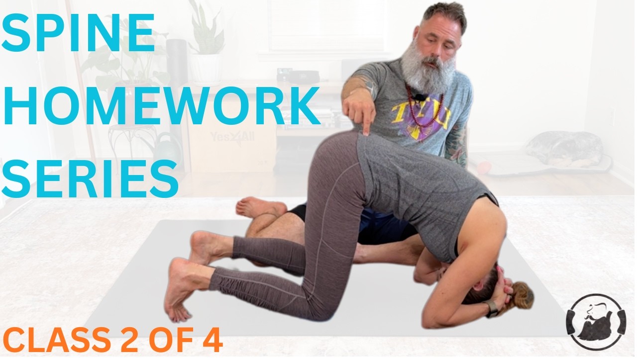 Spine Homework Class 2 of 4