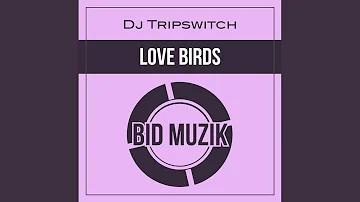 Love Birds (Edit)