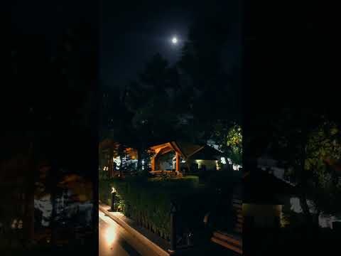 وعزة نفسي منعاني 