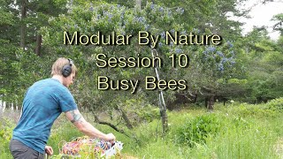 Modular By Nature - Session 10 - Busy Bees