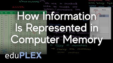 Representing Information in Memory | Hardware and Software | AP Computer Science A | eduPLEX