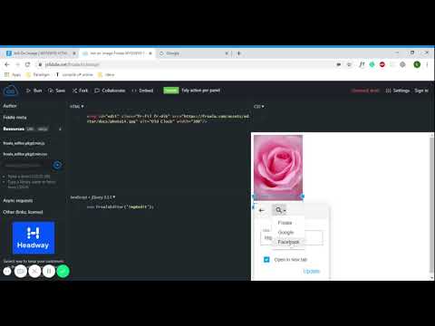 Init on image Froala WYSIWYG Editor V3 JSFiddle