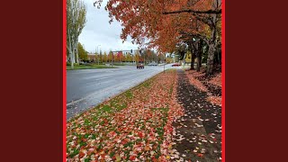 All I See Is Red