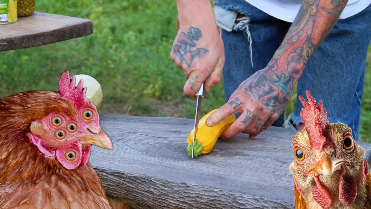 Living with Chickens as Pets: Building a Buffet Table Experience!