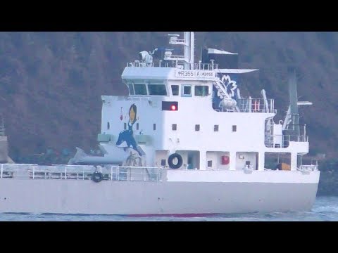 人間は何をつくってきたか　船 イルカにのった少年の船が北九州入港 - じょうみち丸 / JOMICHI