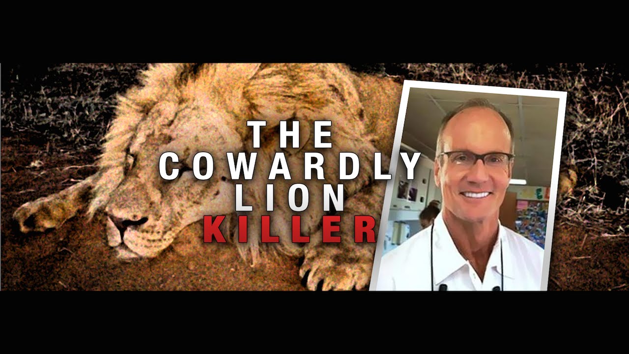 Beloved Lion Killed By American Dentist