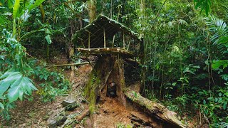 Solo Bushcaft: Continue Build Bushcaft house on giant tree. Enjoy the air of nature - P.2