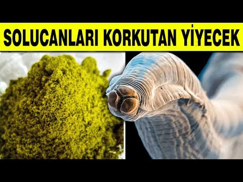 Video: Bırakarak' Solucanları Önleme