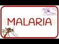 MALARIA - fisiopatología, ciclo de vida, manifestaciones clínicas, diagnóstico y tratamiento