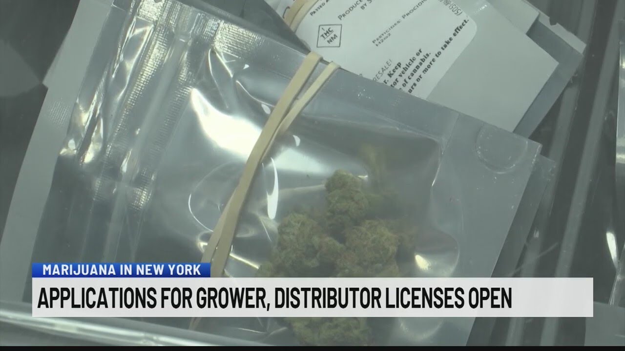 Applications for grower, distributor licenses open