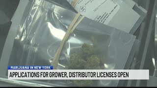 Applications for grower, distributor licenses open