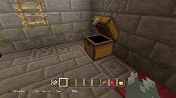 Minecraft 1.36, Secret Igloo Basement