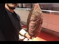 🚀Kolayını Bulsa DANAYI BÜTÜN Pişirecek !! 👏(Dubai'yi Lezzetleriyle Fetheden Türk Chef)🔥🔥
