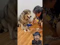 Mother will always protect her baby #cute #funny #dogs