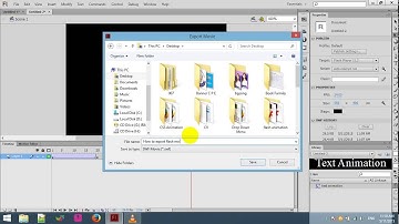 How to export flash file to movie or save flash animation