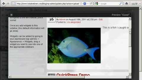 Wordpress Tutorial - Uploading & Installing Themes Manually