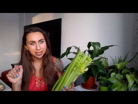 Video: Celer - Prospěšné Vlastnosti Celeru, Výhody A Poškození šťávy Z Celeru, Celer Ze Semen