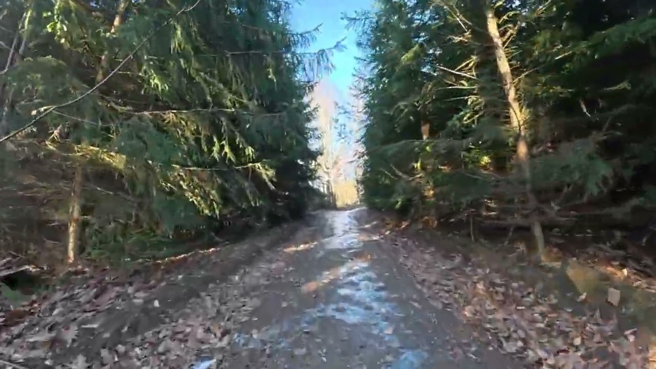 cyklistika v zimě (leden 2026)