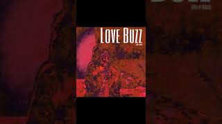 Love Buzz - Nirvana (Cover)