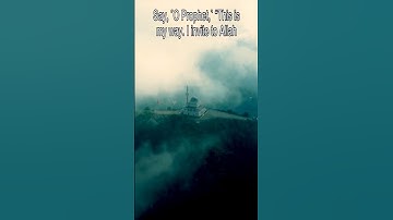 Surah Yusuf in Qiraah Warsh an Nafi, Alafasy | مشاري العفاسي سورة يوسف برواية ورش