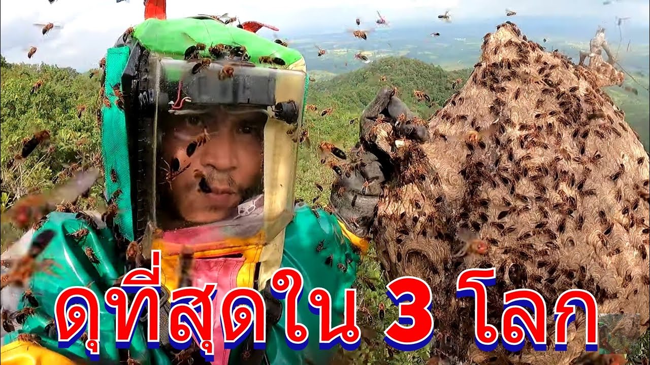 #Get excited อลังการ รังต่ออาน มาไวเหมือนกับสายฝน