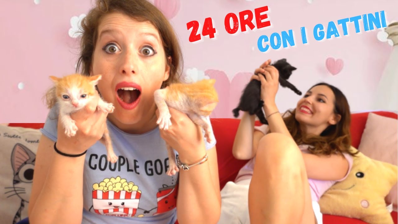 24 ORE CON I GATTINI SUL DIVANO CON @SoniChan