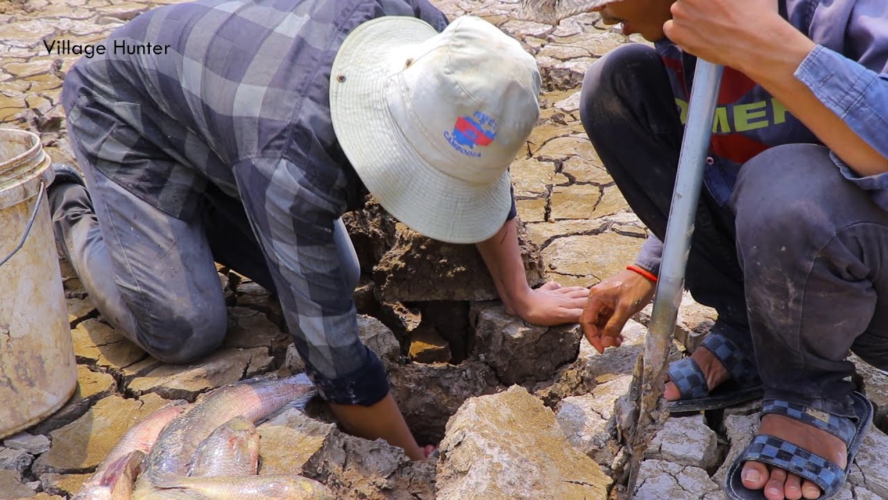 Video In 2020!Dry Season Fishing Find And Catch A Lot Of Fish By