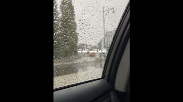 سورة التوبة. الآية ٥١