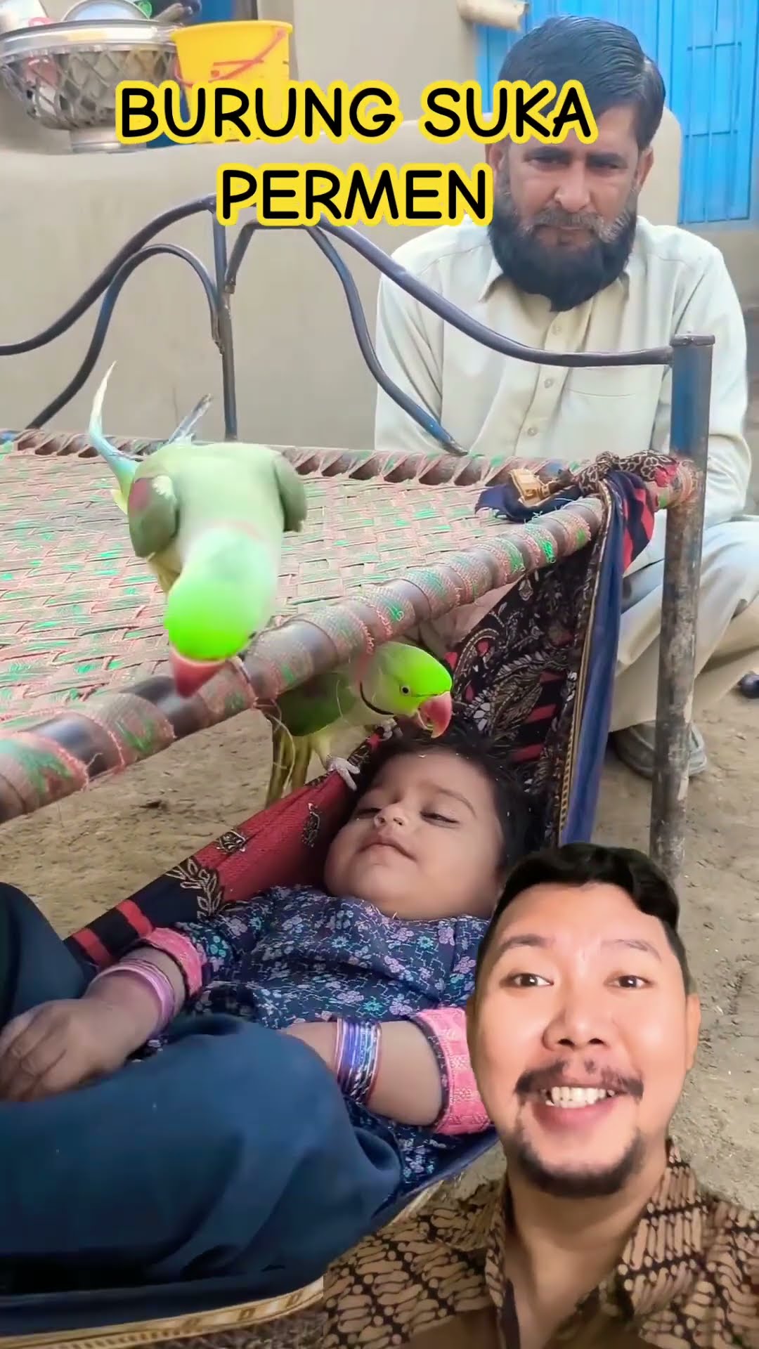 BURUNG LUCU SUKA PERMEN!!!? #cutebaby #funny #cute #shortsfeed #comedy
