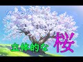 デジタル風景画　自然物：桜の描き方！【ソメイヨシノ】