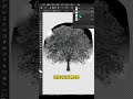 PS这样抠大树  #平面设计  #海报设计  #ps小技巧  #ps  #photoshop  #AI   #illustrator  #ps教程