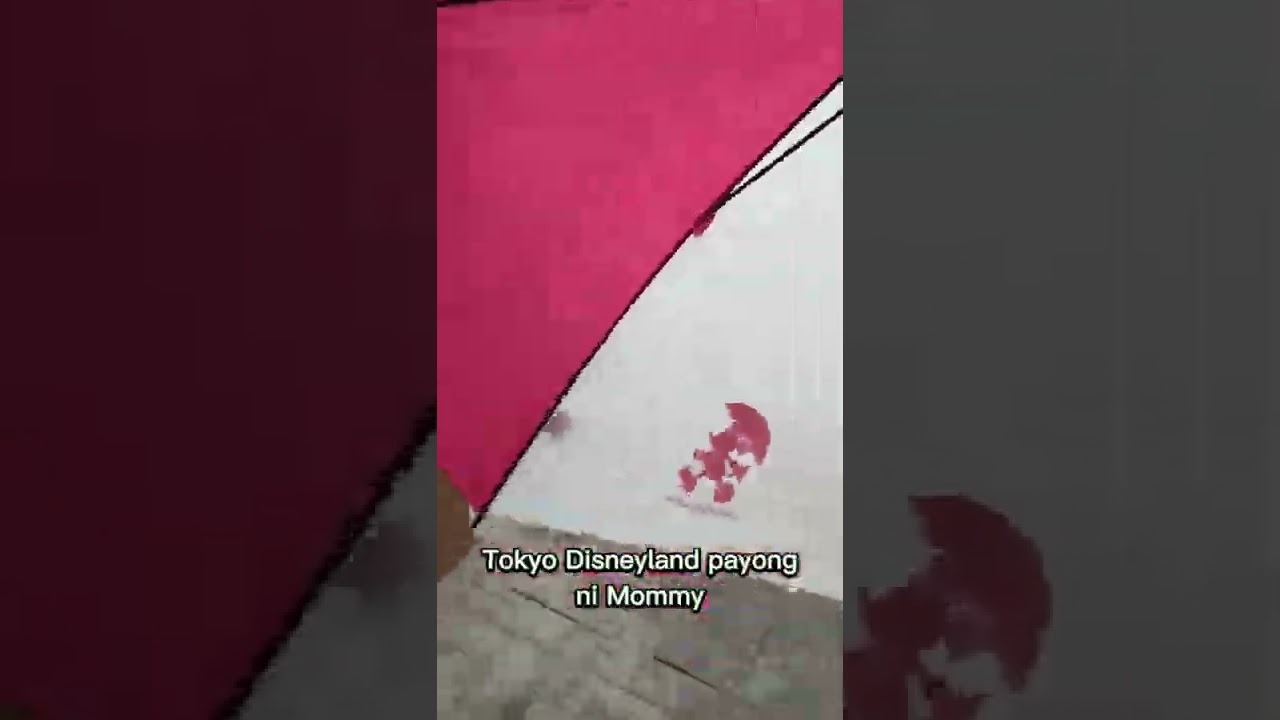 Daiso transparent Umbrella