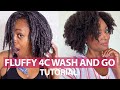 This 4C Wash and Go is GIVING!  *Old Product Alert* Part 2