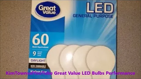 How Long Did They Last? | LED Great Value Light Bulbs in Hallway Part 2 |  Kim Townsel