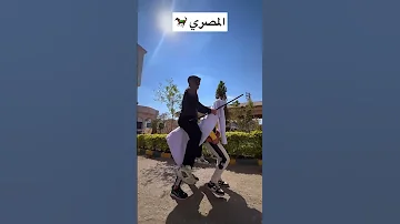 خطاب عمل ترند الخيل الاجنبي 