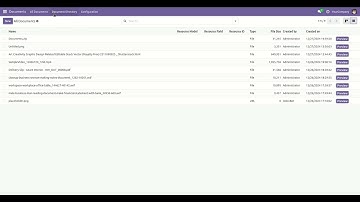 Document Management - Directory Export As Zip File Odoo v18