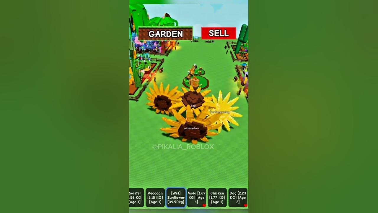 PARADE ALA SI CURUT DI GROW A GARDEN #roblox #growagarden PARADE ALA SI CURUT DI GROW A GARDEN #roblox #growagarden