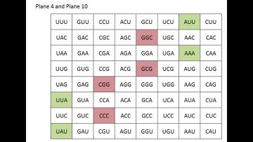 RNA & King Wen Sequence (DNA & I Ching)