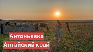 Село Антоньевка | Алтайский край | Деревенская жизнь