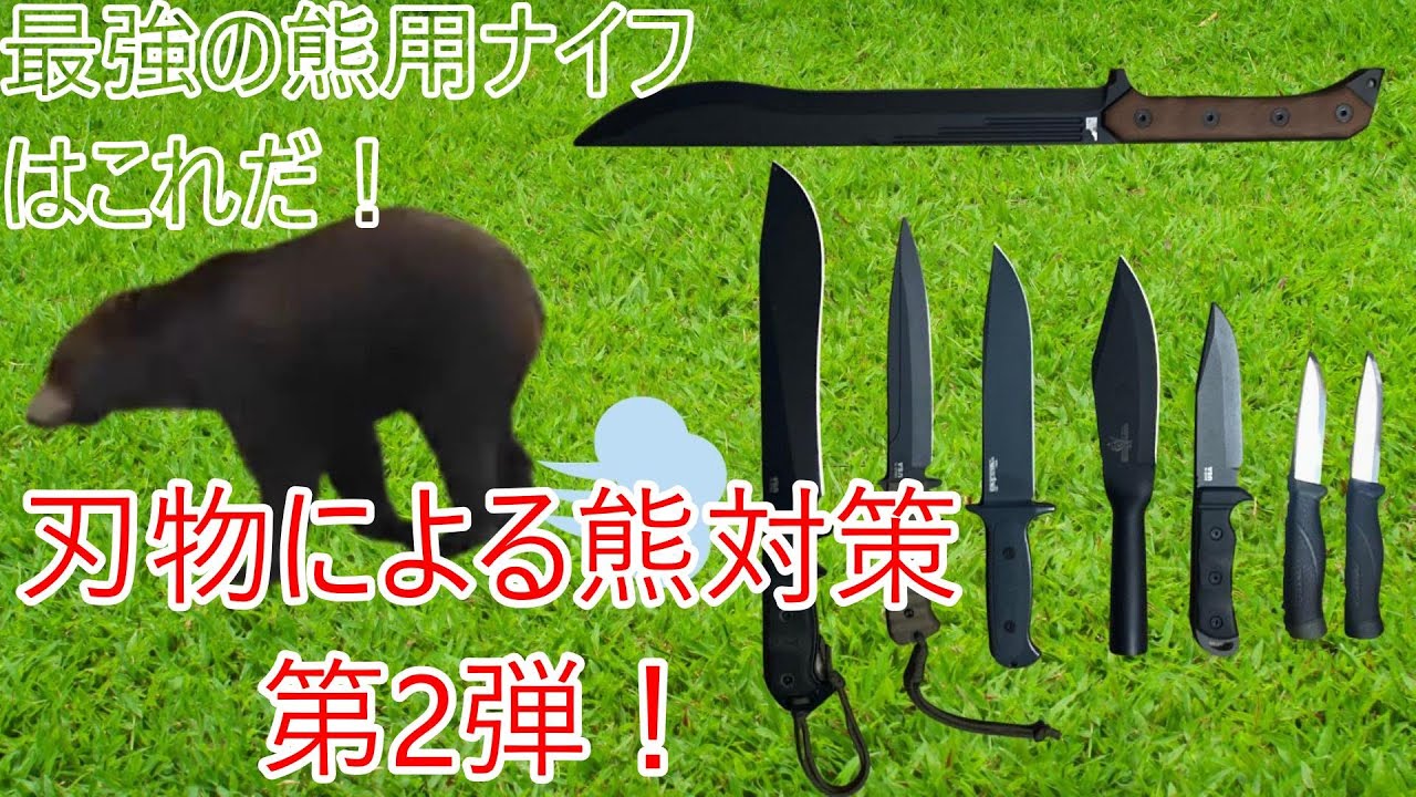 What Is the Best Knife for Bear Defense? Analyzing My Own Gear