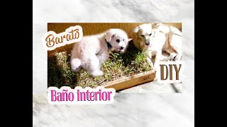 Baño interior para perros DIY