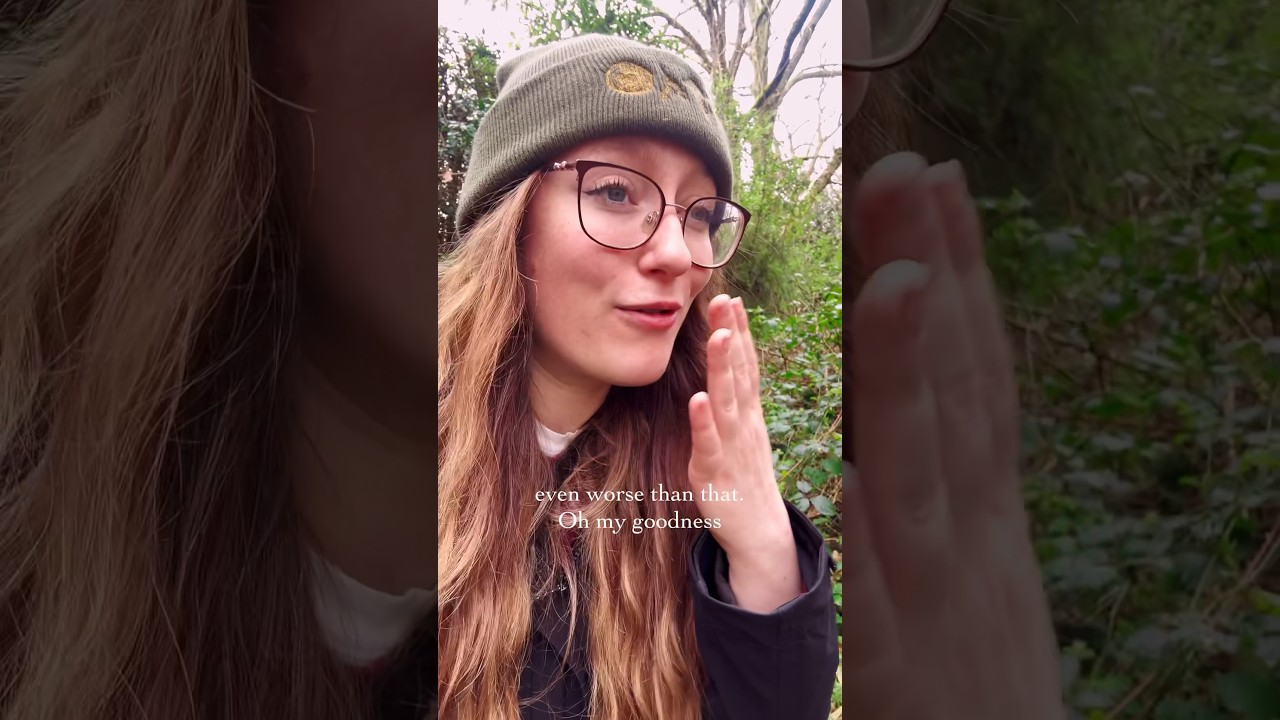 Would you dare foraging for the spicy Lady’s Smock? 🌸🌿 