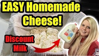 Making Fresh Cheese From Discount Milk!! Easy Farmer's Cheese